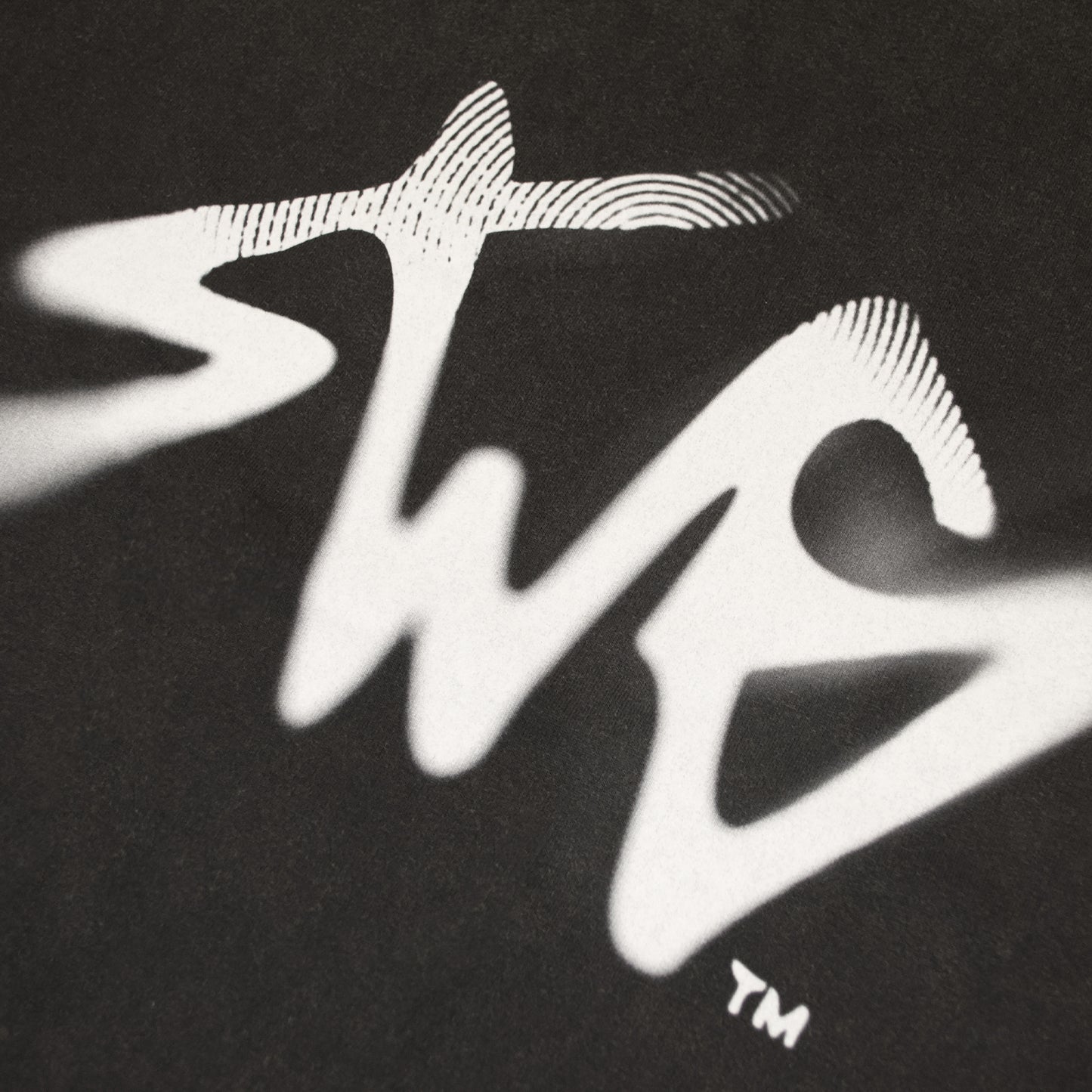 Signature Blur Logo LS Tee <BLACK>