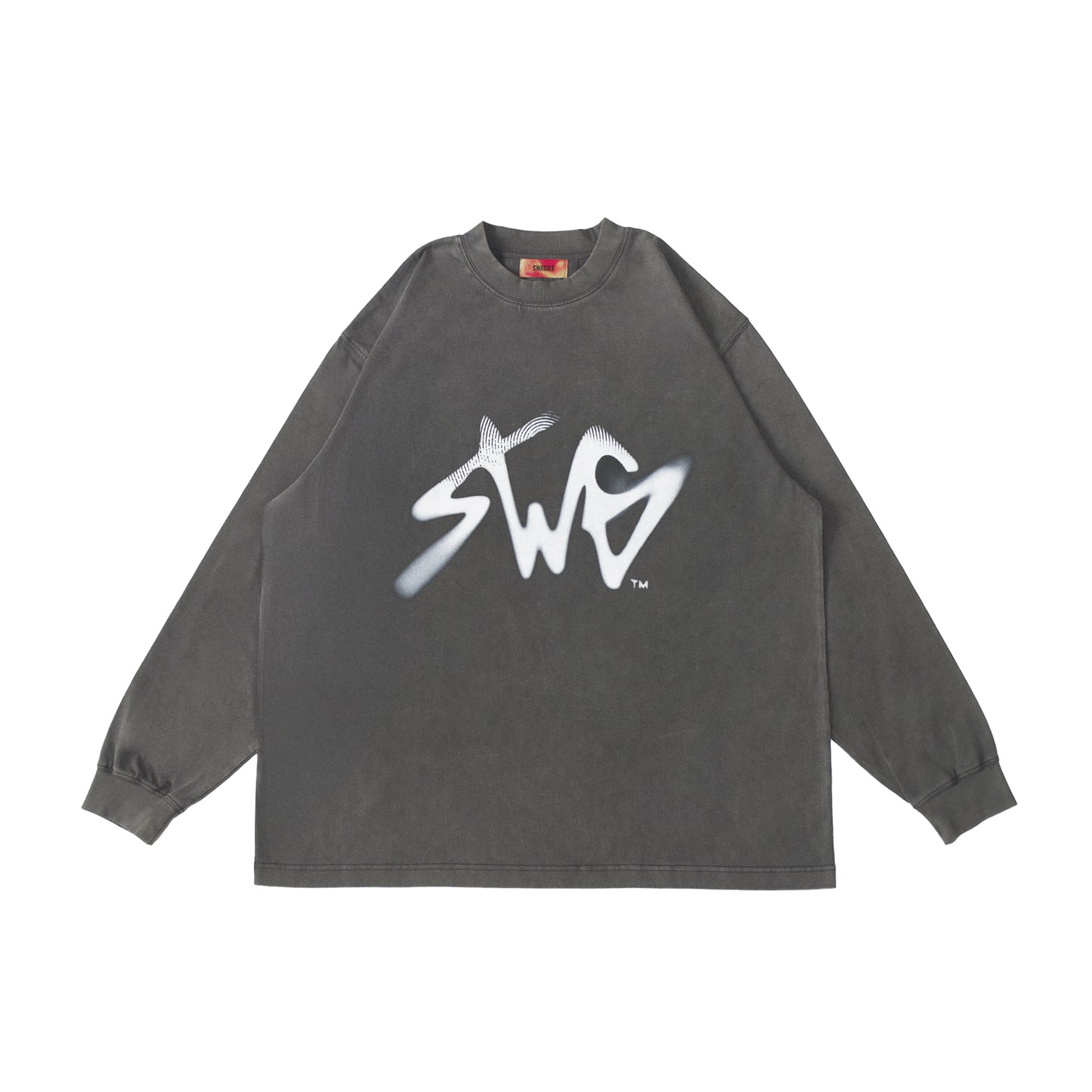 Signature Blur Logo LS Tee <C.GRAY>
