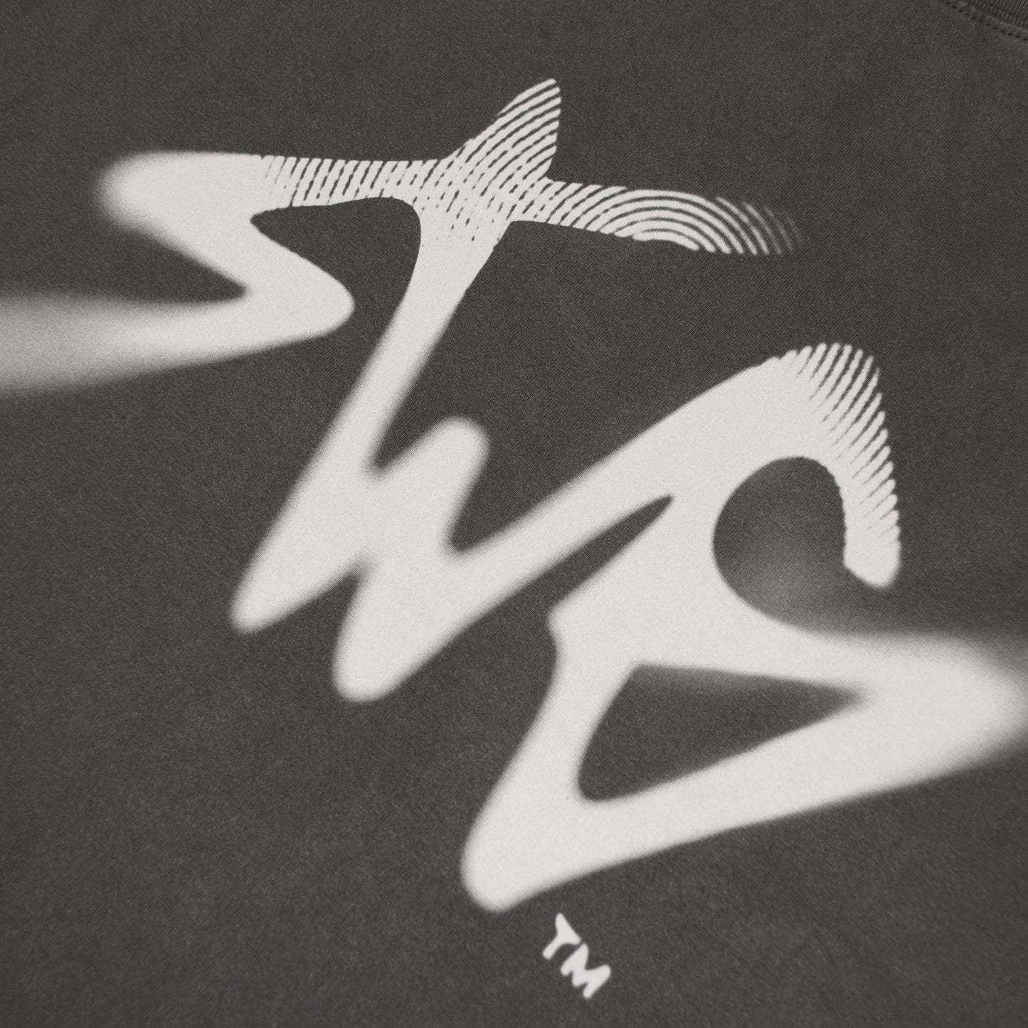 Signature Blur Logo LS Tee <C.GRAY>