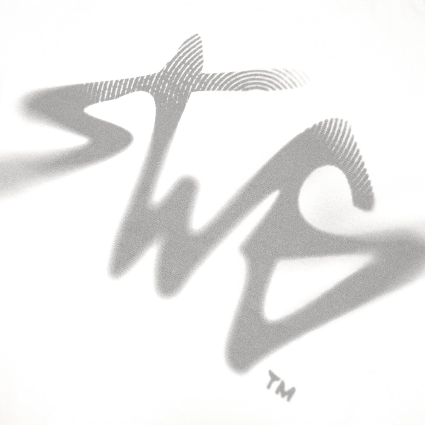 Signature Blur Logo LS Tee <WHITE>