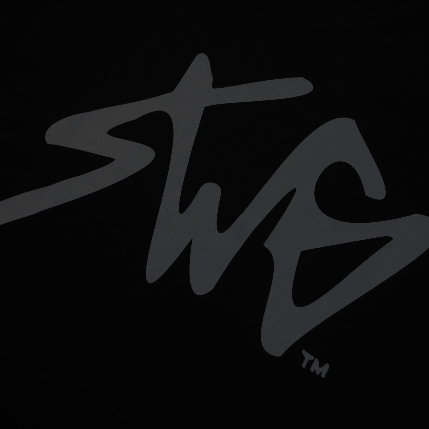 SIGNATURE LOGO T-SHIRT BLK×BLK