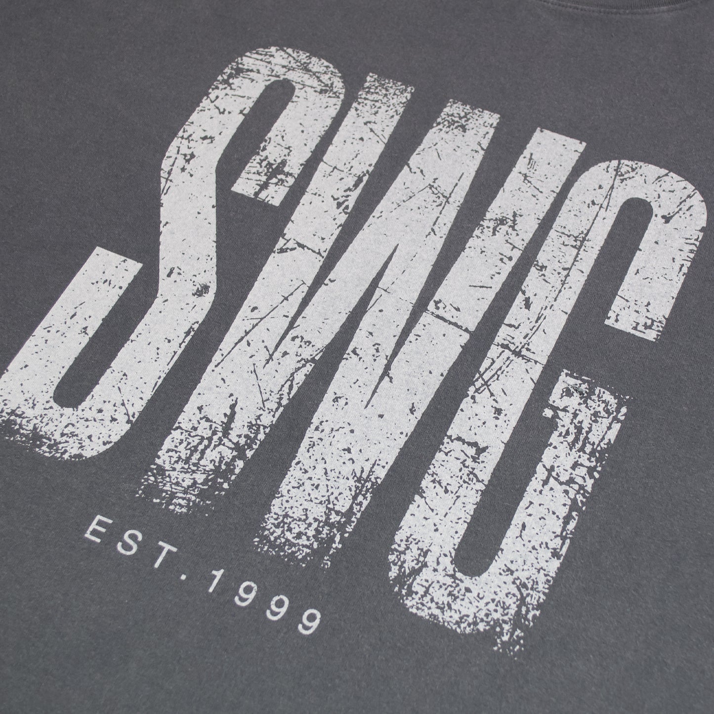 VINTAGE SWG LOGO LT-SHIRT C.GRAY