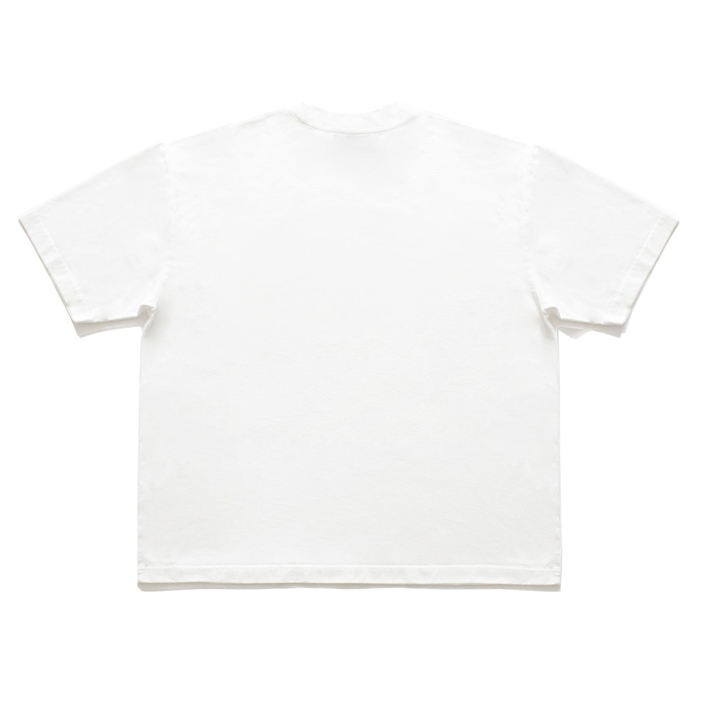 SWAGGER LOGO T-SHIRT WHITE