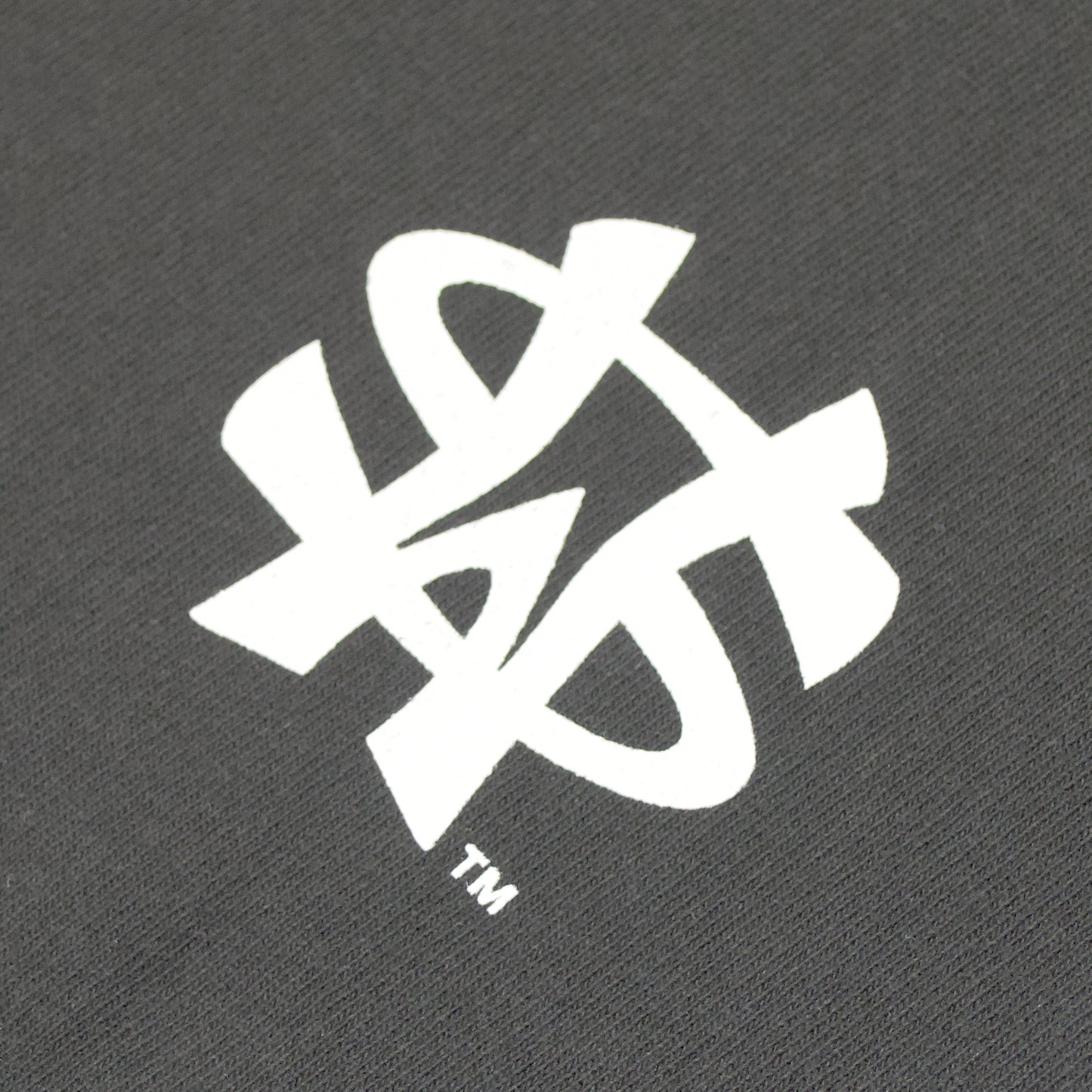 SW Logo LS Tee <C.GRAY>