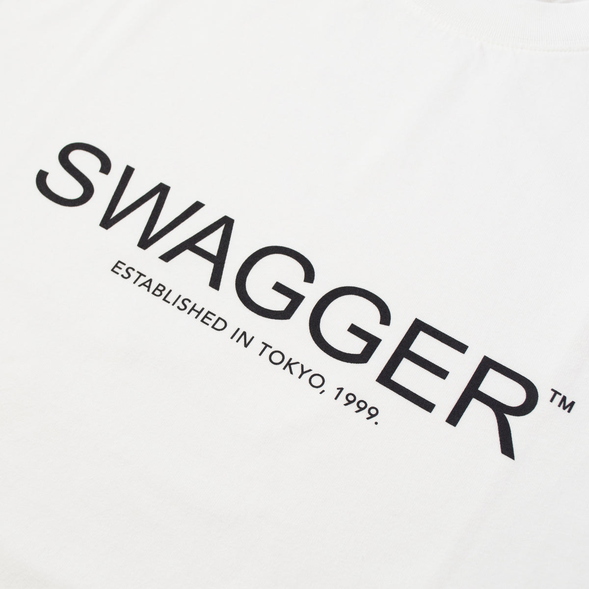 Thin Logo LS Tee (White)