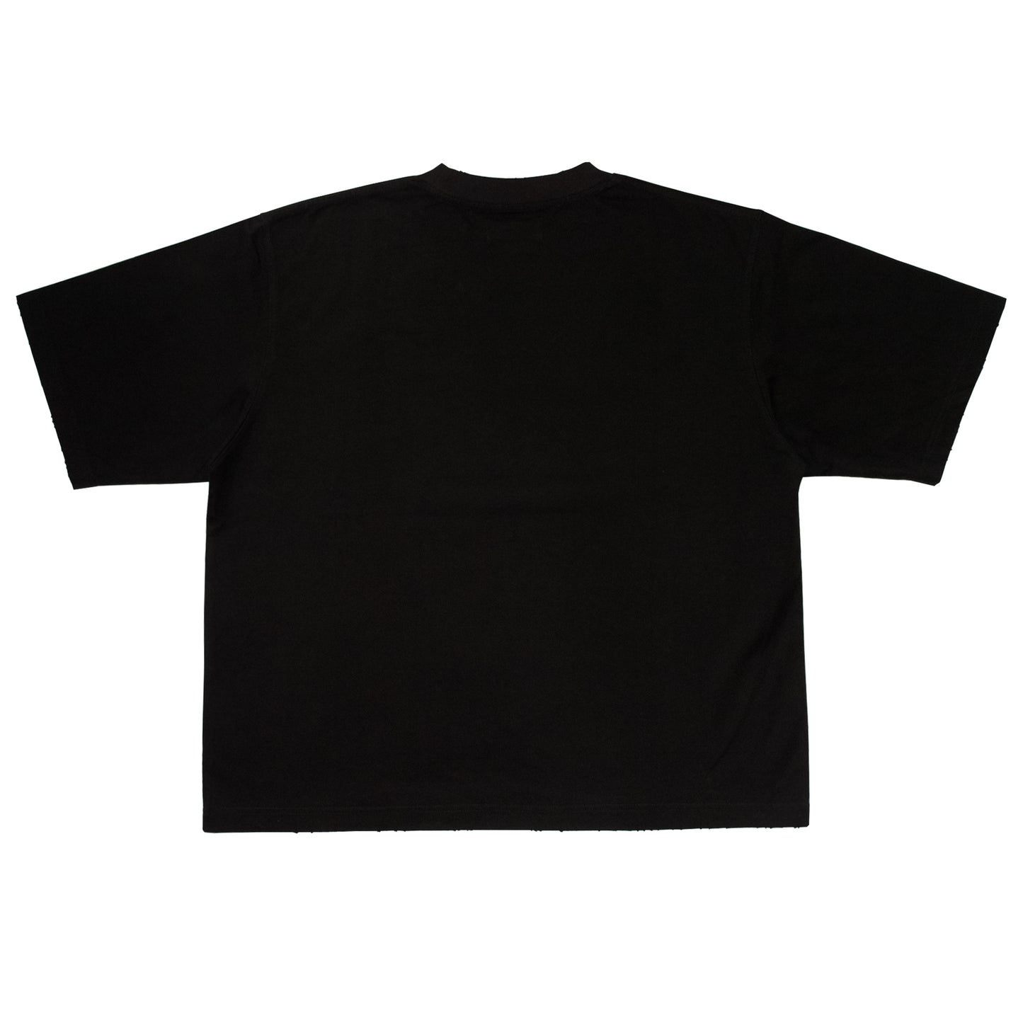 Ice Cube SWG Tee <Black>