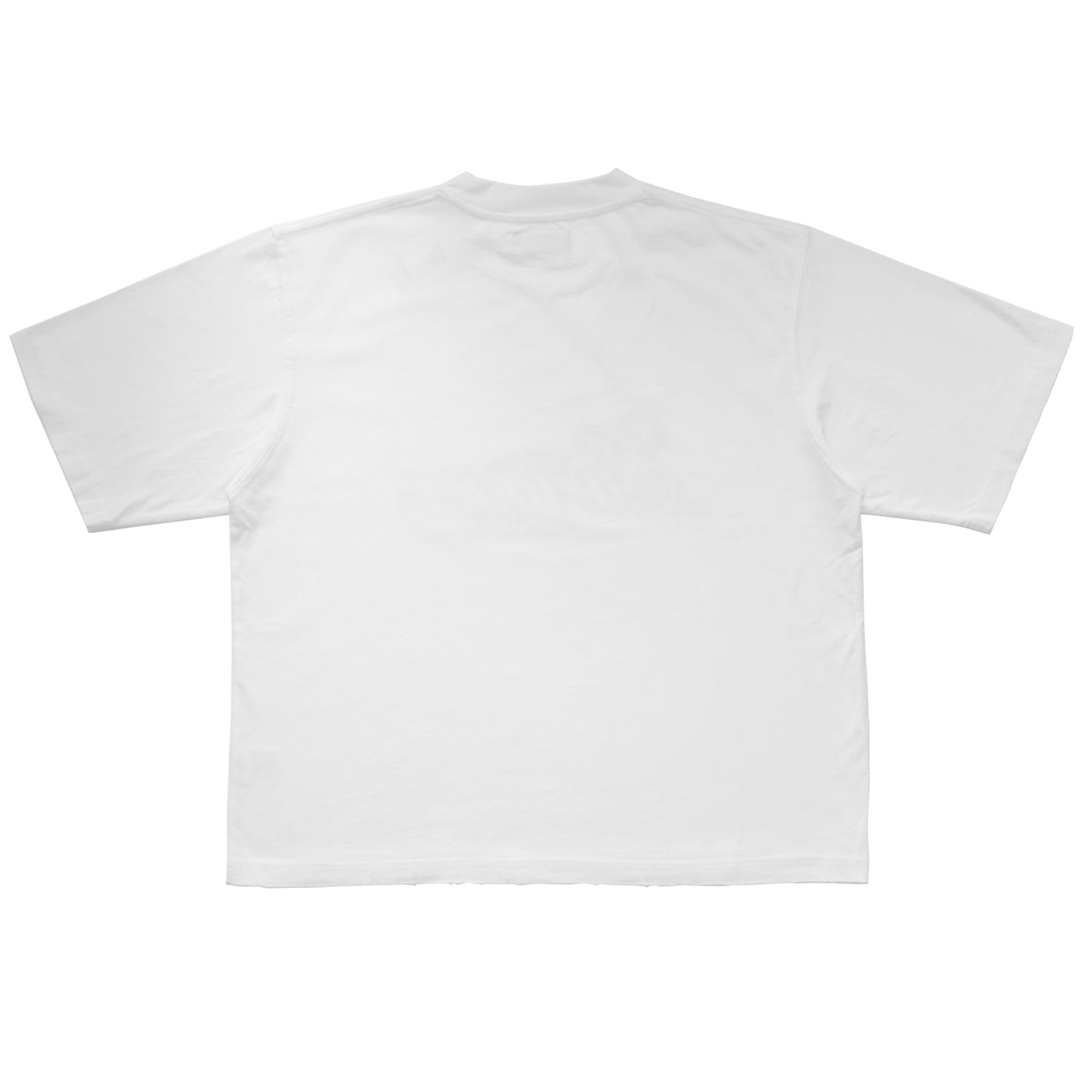 Ice Cube SWG Tee <White>